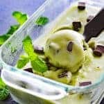 Scoop Photo Vegan Mint Chocolate Chip Ice Cream