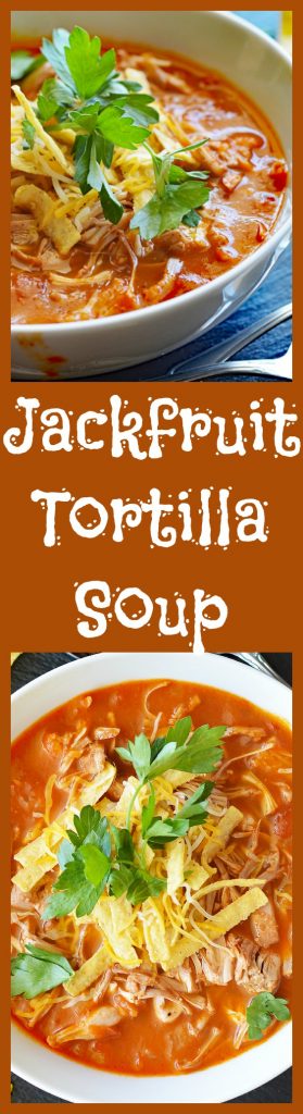 Homemade Jackfruit Tortilla Soup