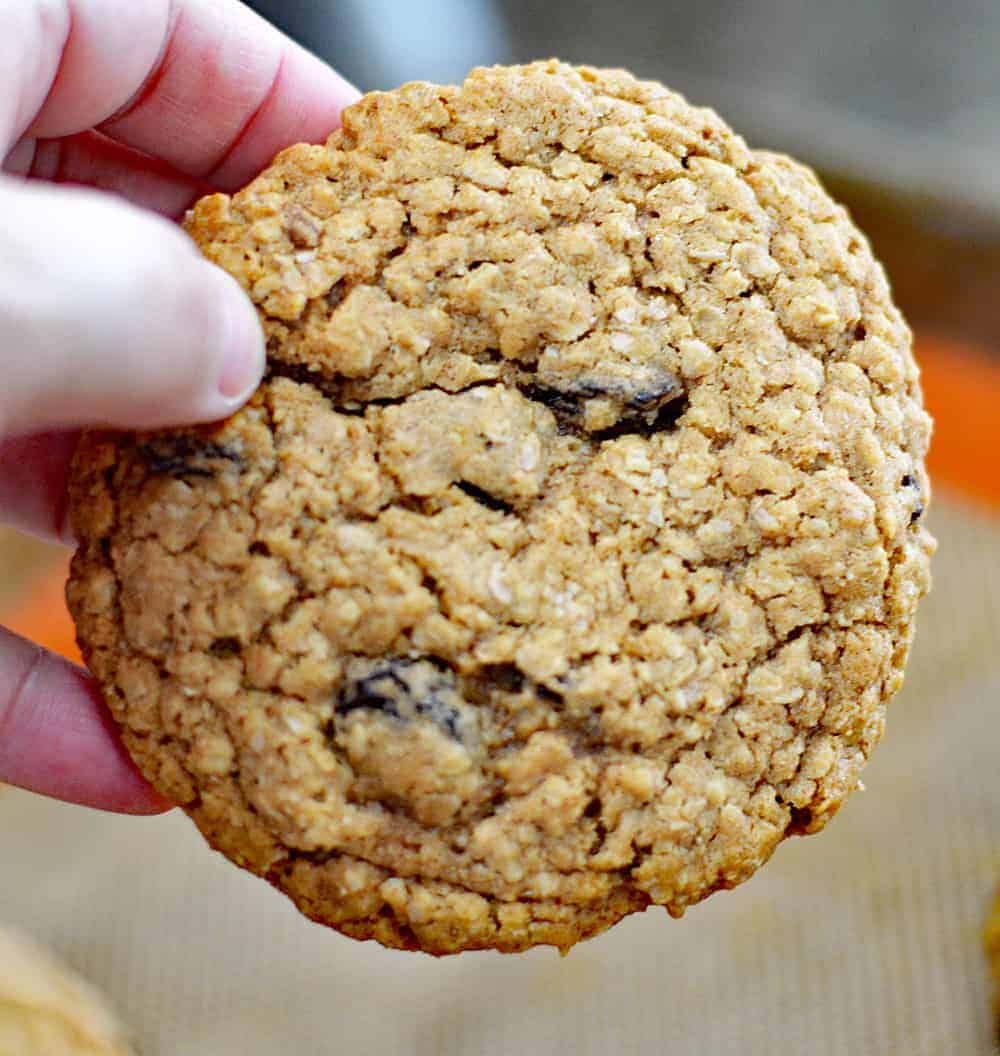 Hand holding a Big & Chewy Vegan Oatmeal Raisin Cookie
