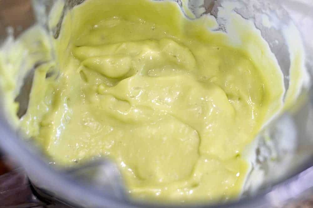 Blended Vegan Avocado Ice Cream Recipe Ingredients