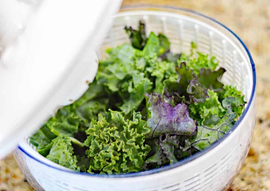 Kale in a salad spinner