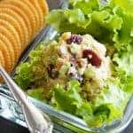 Close Up of Vegan Cranberry Walnut Chickpea Salad Recipe
