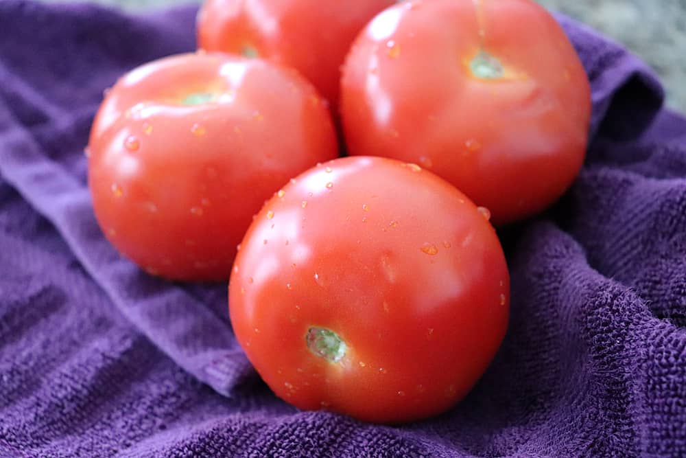 Washed tomatoes on a purple towel