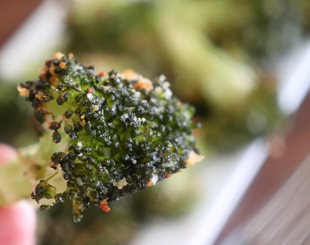 Bite shot of Vegan Parmesan Roasted Broccoli